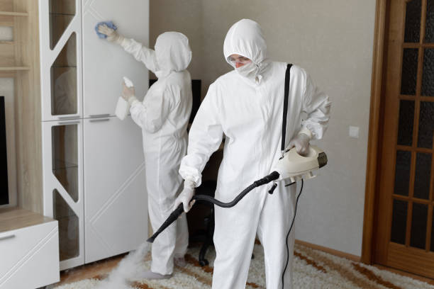 Best Commercial Mold Removal  in Lawton, IA