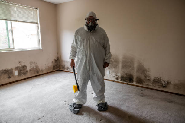 Best Certified Mold Removal  in Lawton, IA